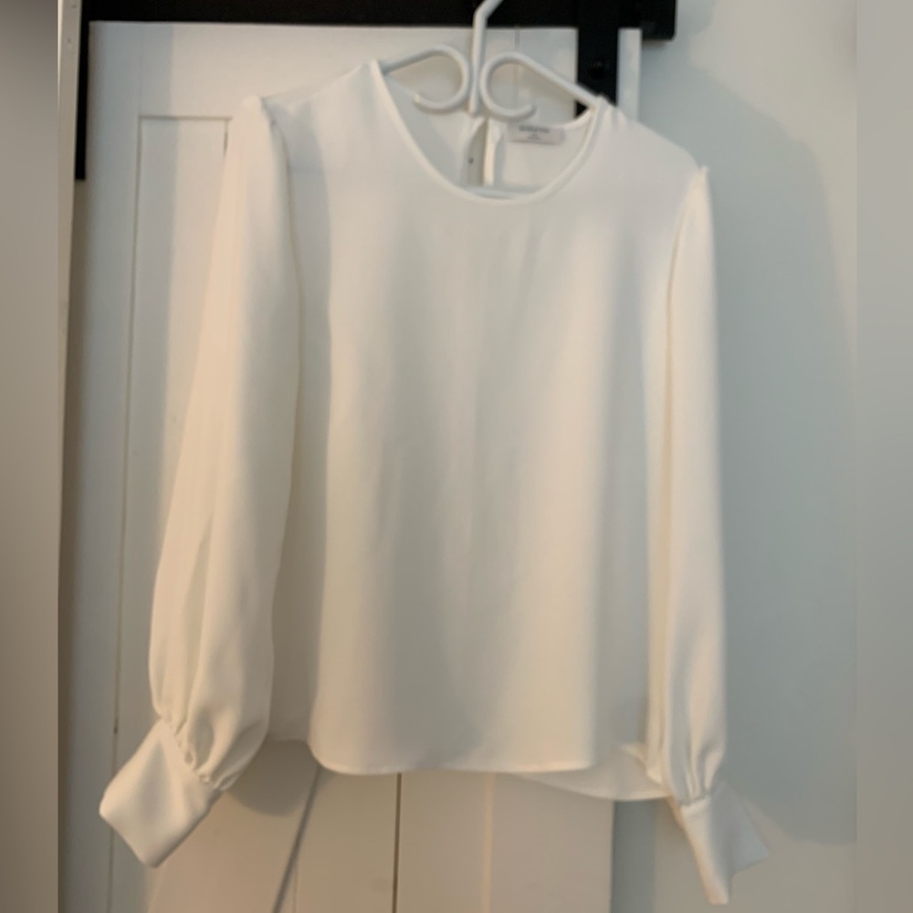 Aritzia Babaton Moda Blouse (M)